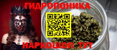 стафф Аргун