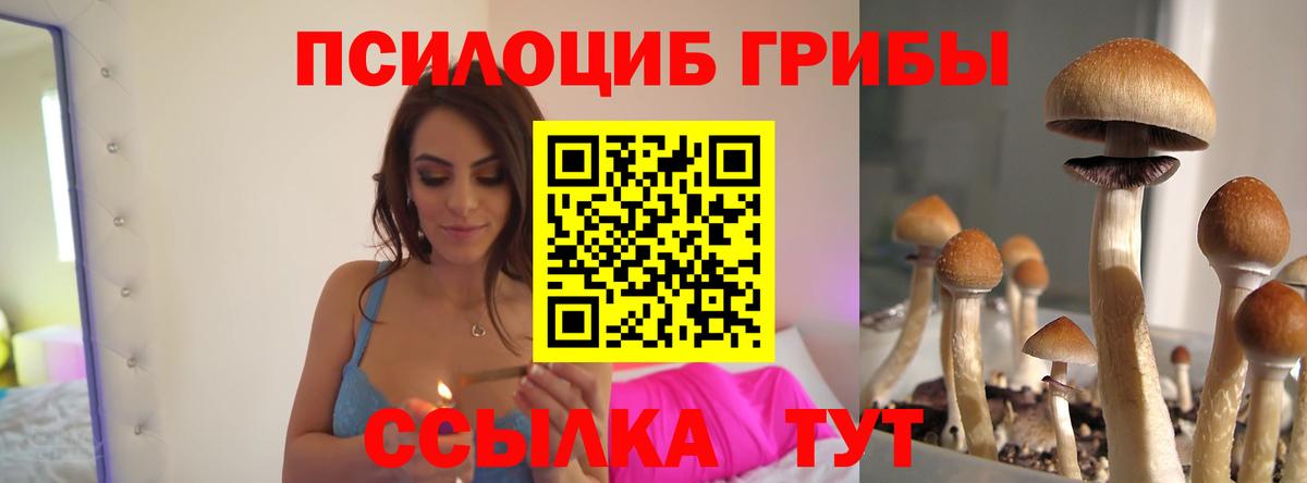 Псилоцибиновые грибы мухоморы Березники